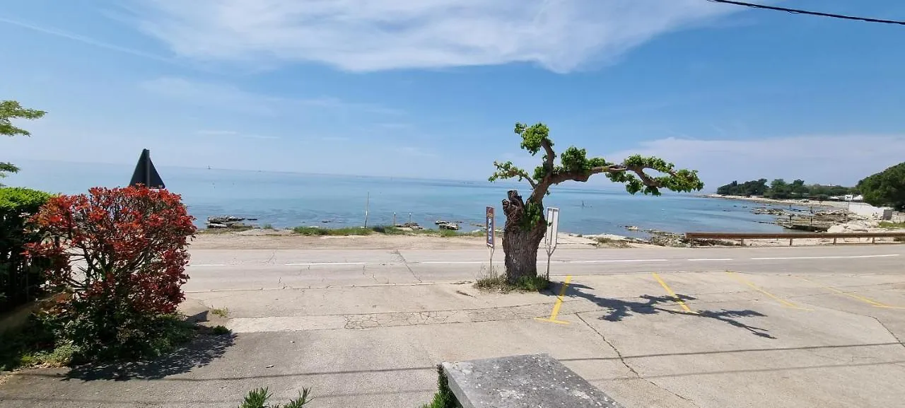 App Maria 3 Apartment Zambratija  Zambratija (Istria)